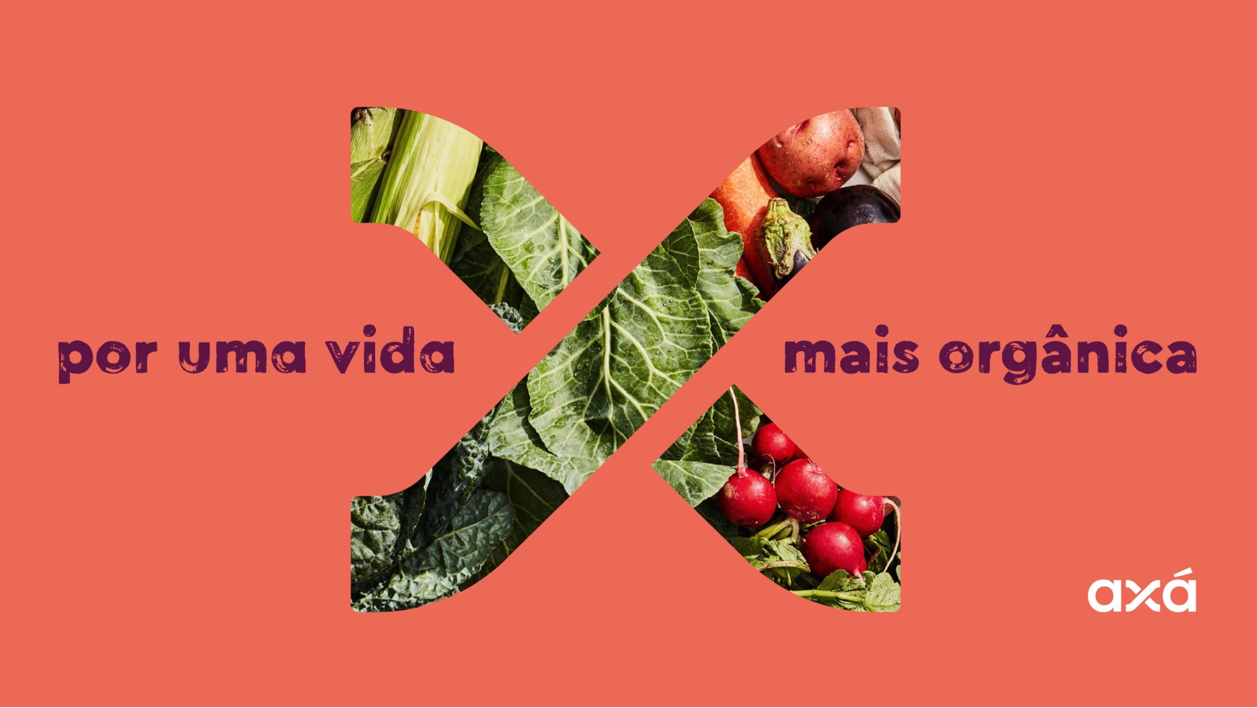 1.IMAGEM ESCOLHIDA