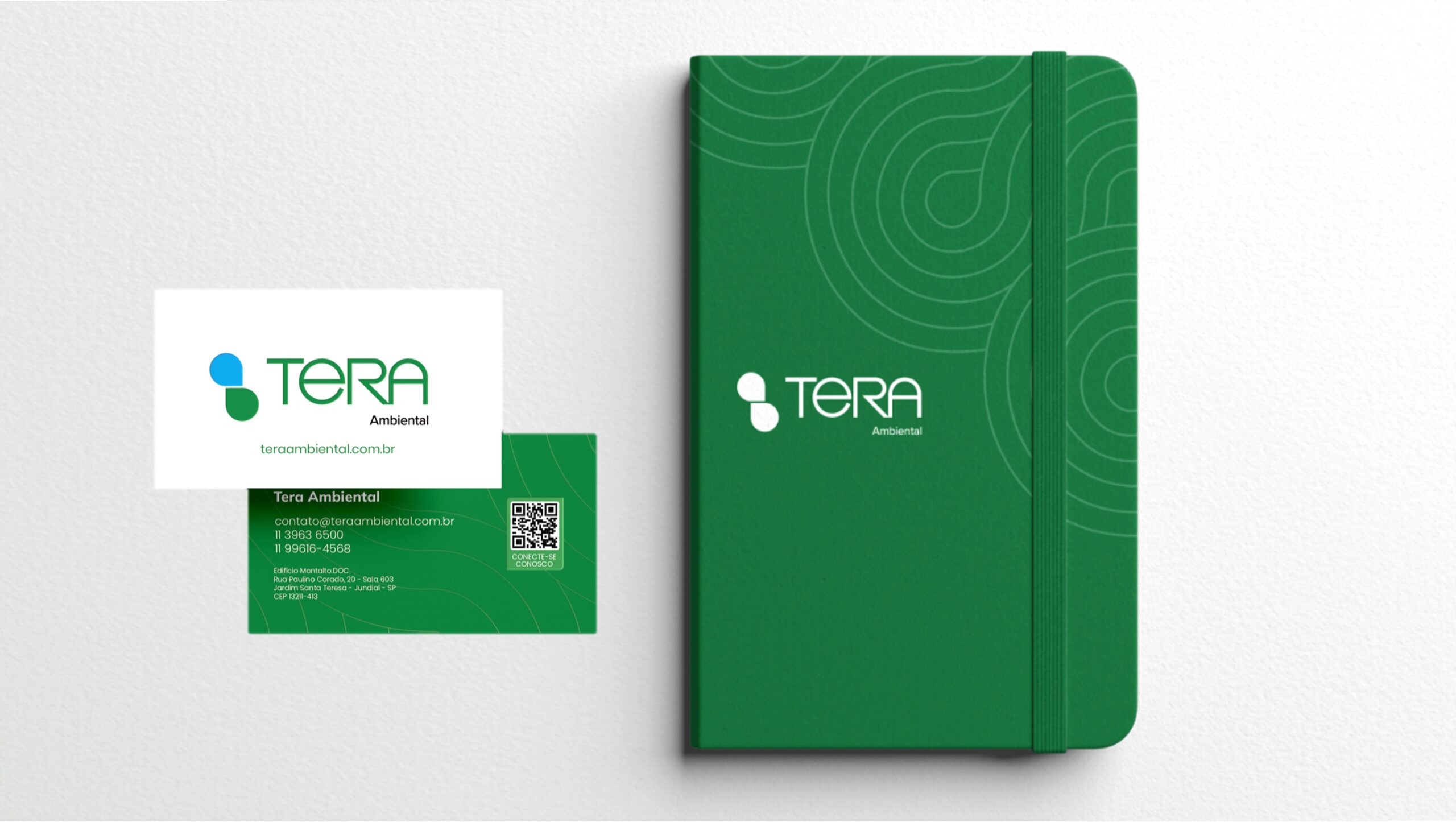 Tera13
